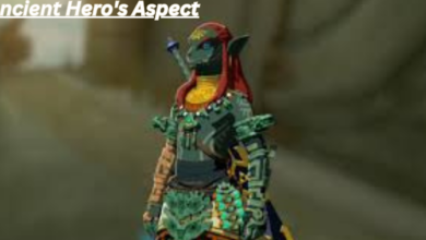 Ancient Hero's Aspect