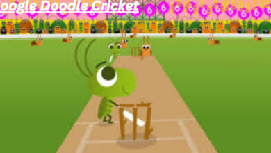 Google Doodle Cricket