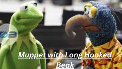 Muppet with Long Hooked Beak